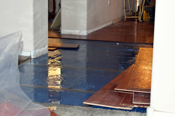 Professional Basement Flood Cleanup technician working in Rockport, MA